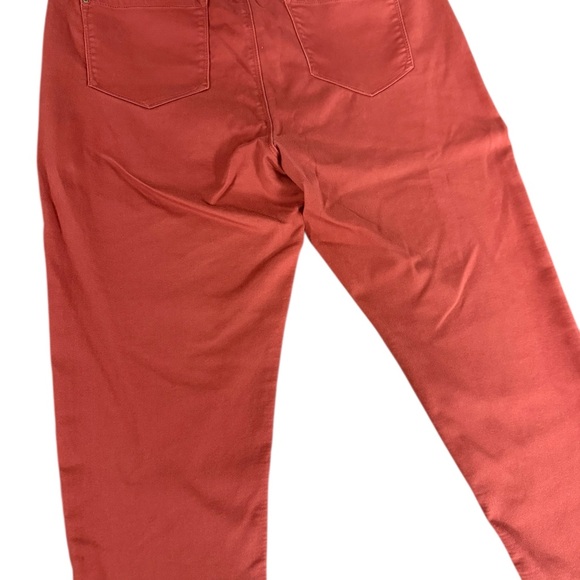 Curve Appeal Rust Skinny Pants Size 20W Plus Stretch - Picture 7 of 11
